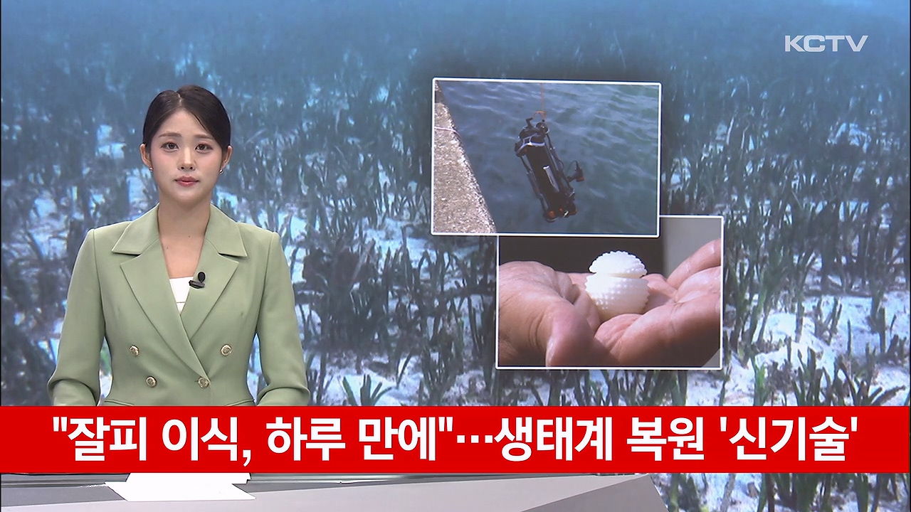KCTV News7