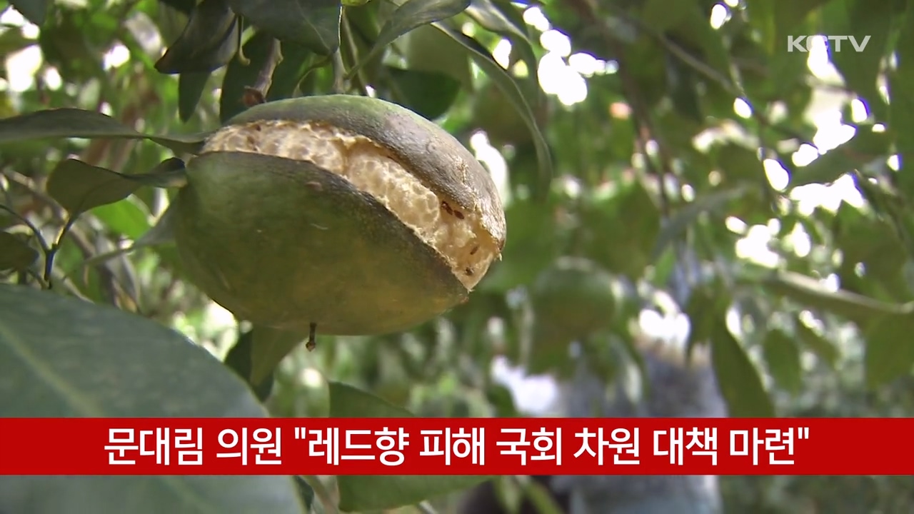 KCTV News7