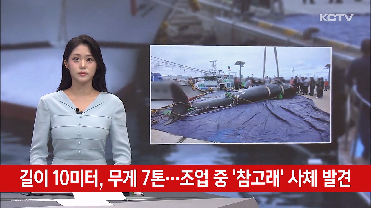 KCTV News7