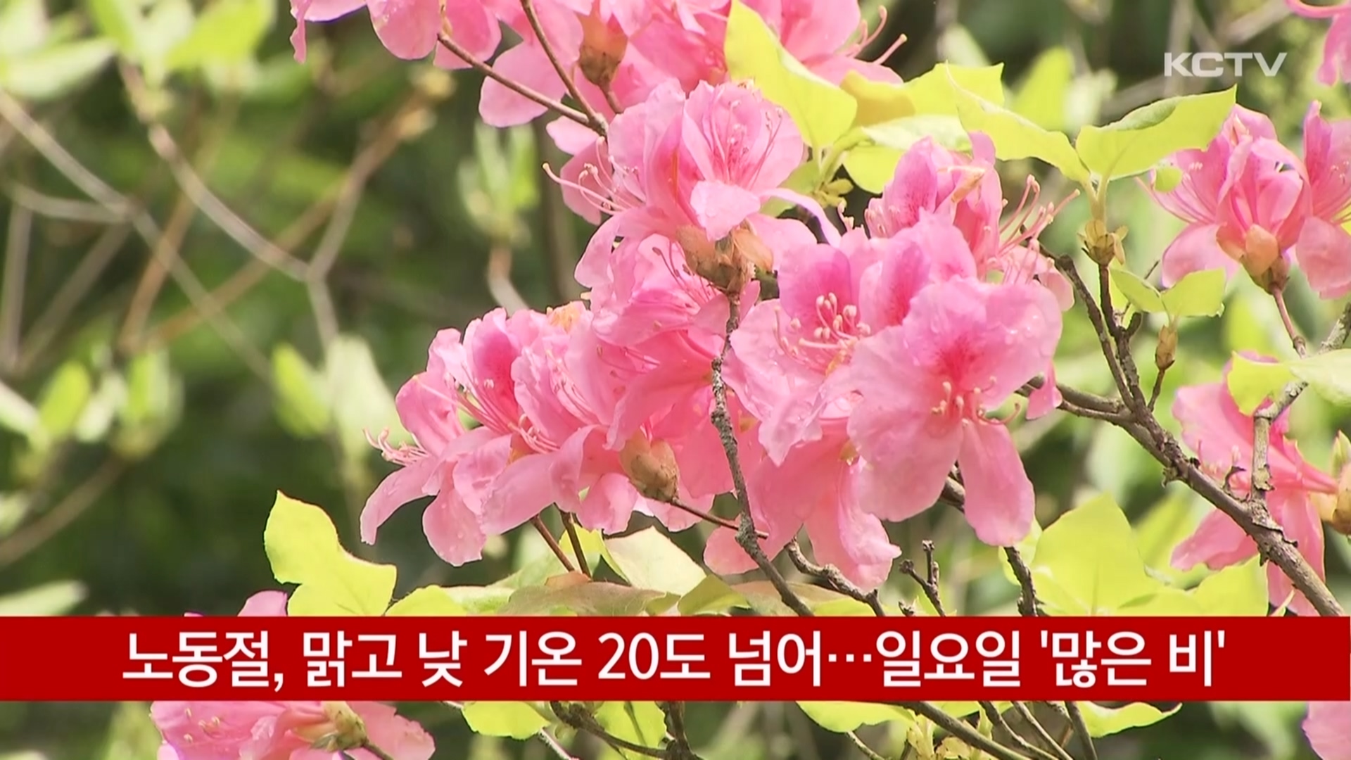 KCTV News7