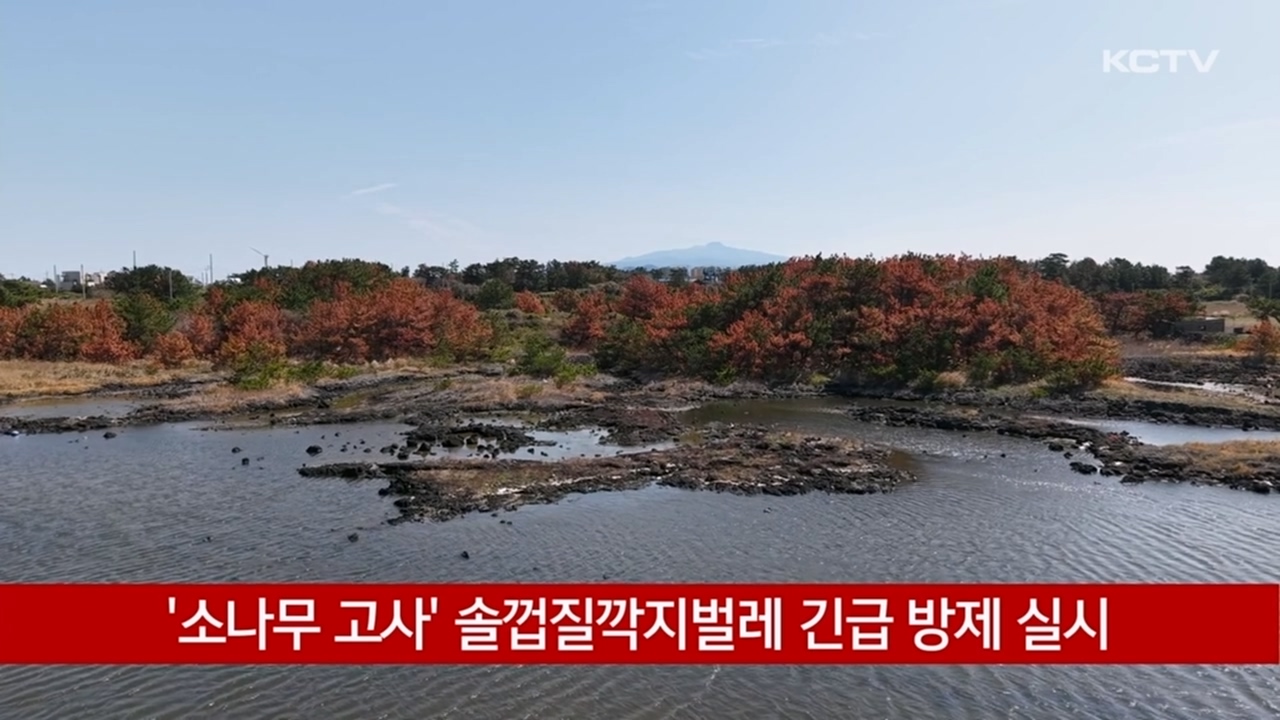 KCTV News7
