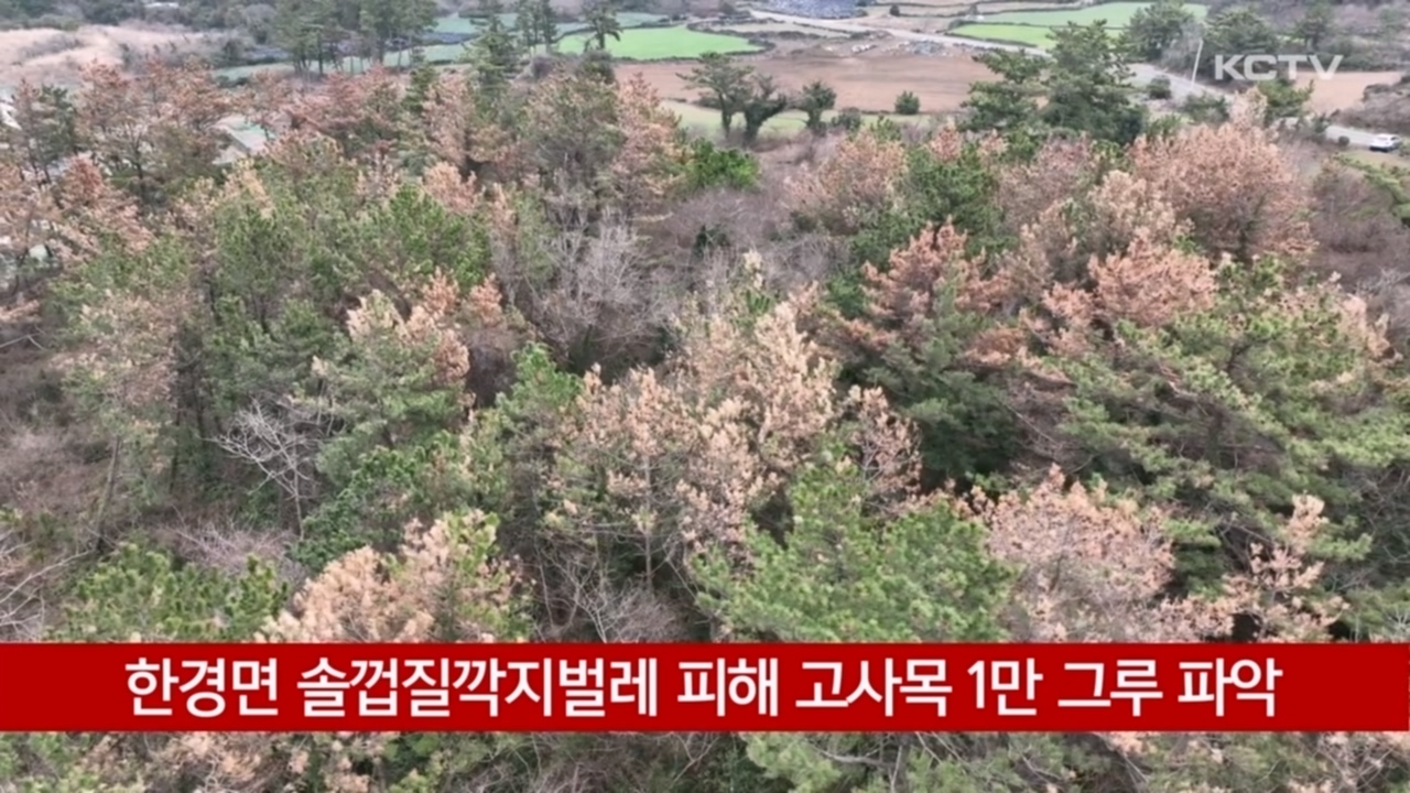 KCTV News7