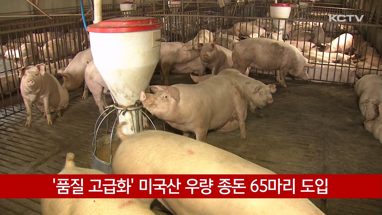 KCTV News7