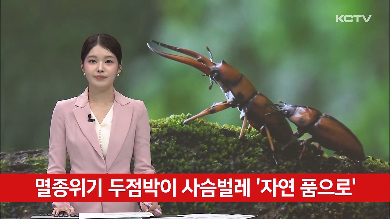 KCTV News7