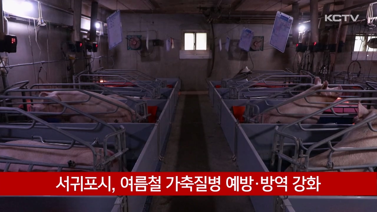 KCTV News7