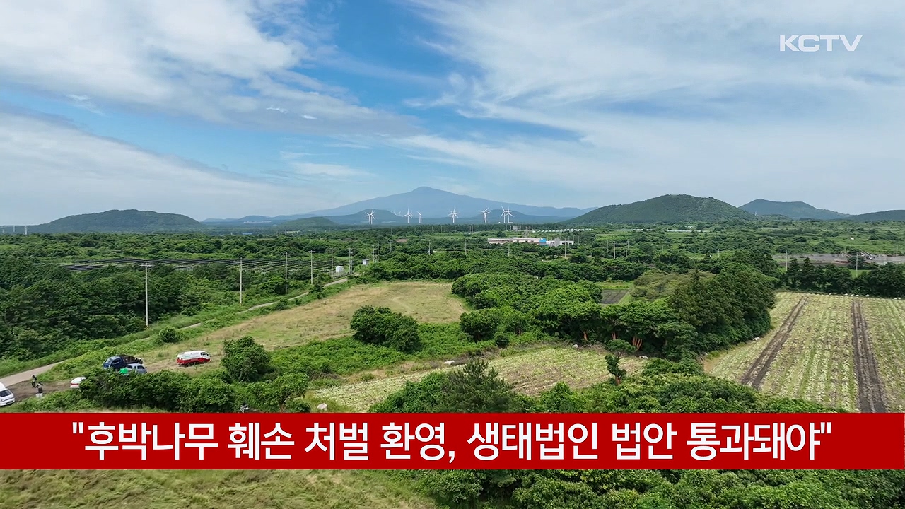 KCTV News7