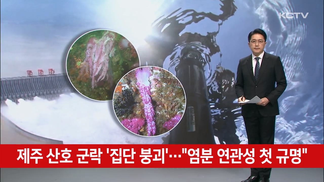 KCTV News7