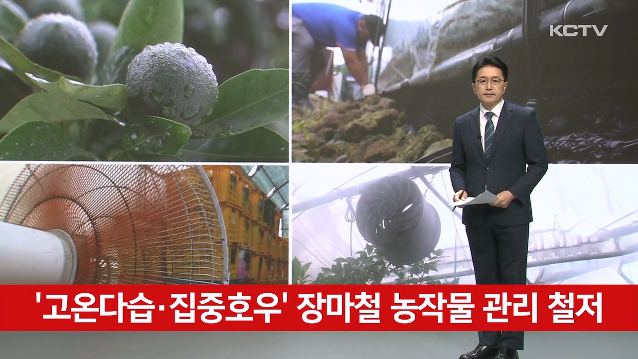 KCTV News7