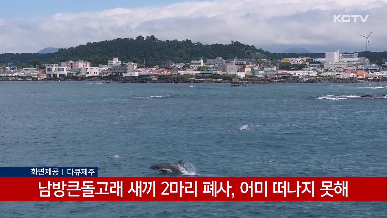 KCTV News7