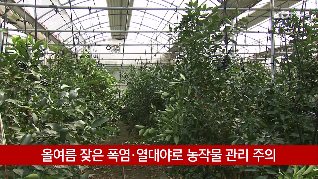 KCTV News7
