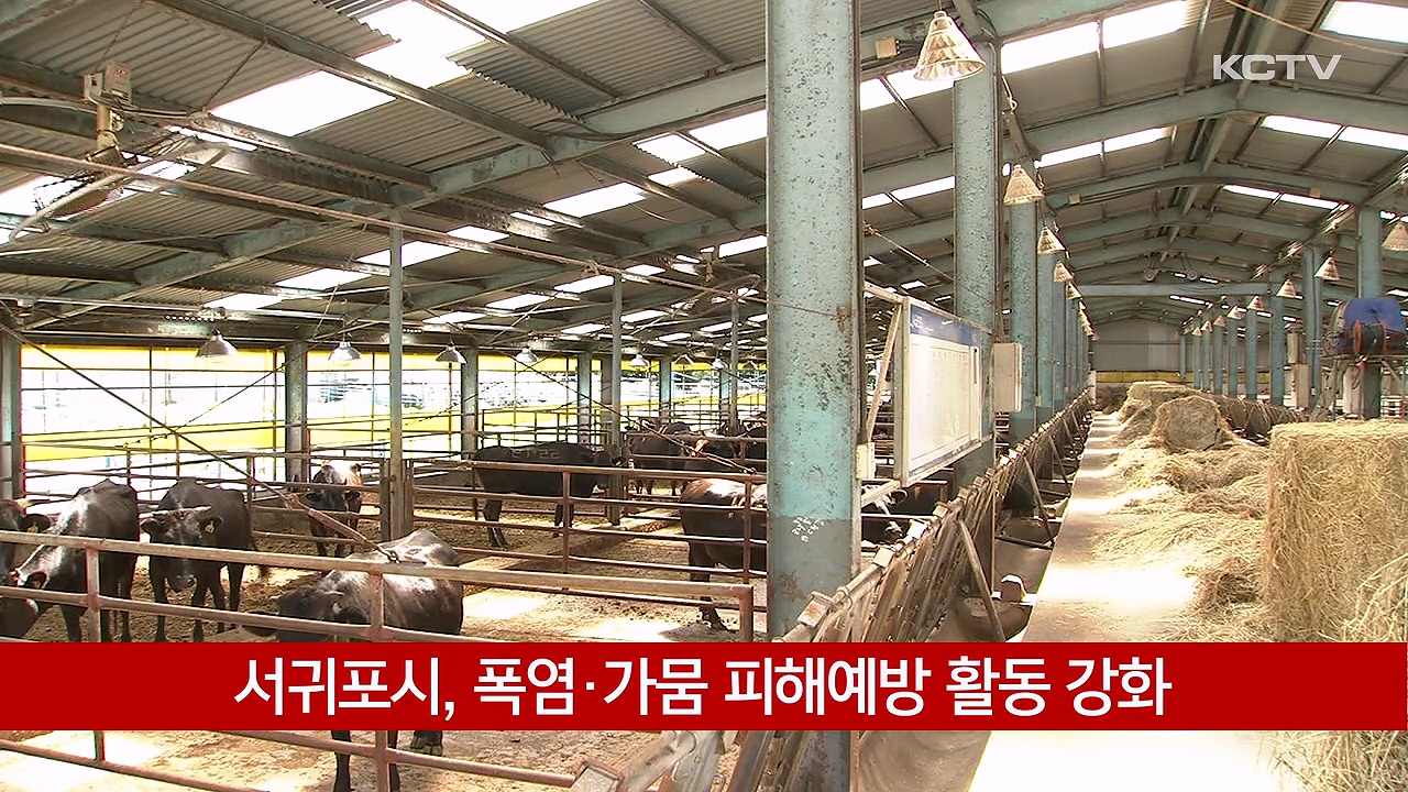 KCTV News7