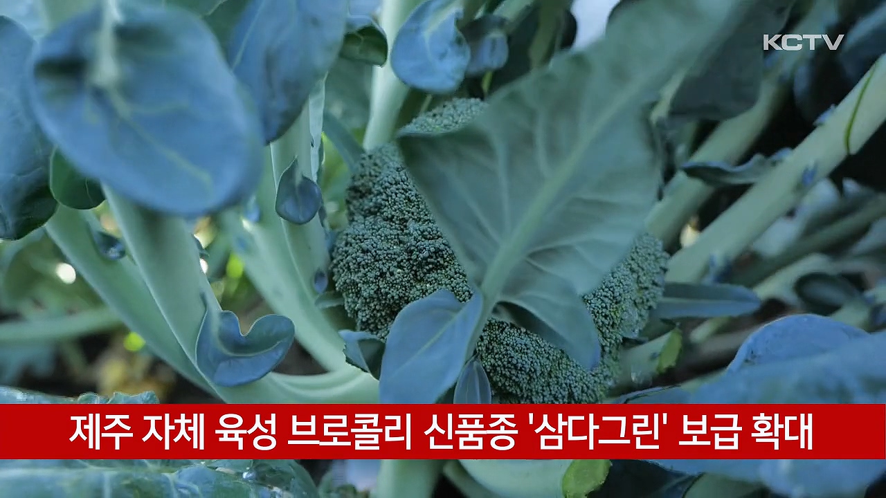 KCTV News7