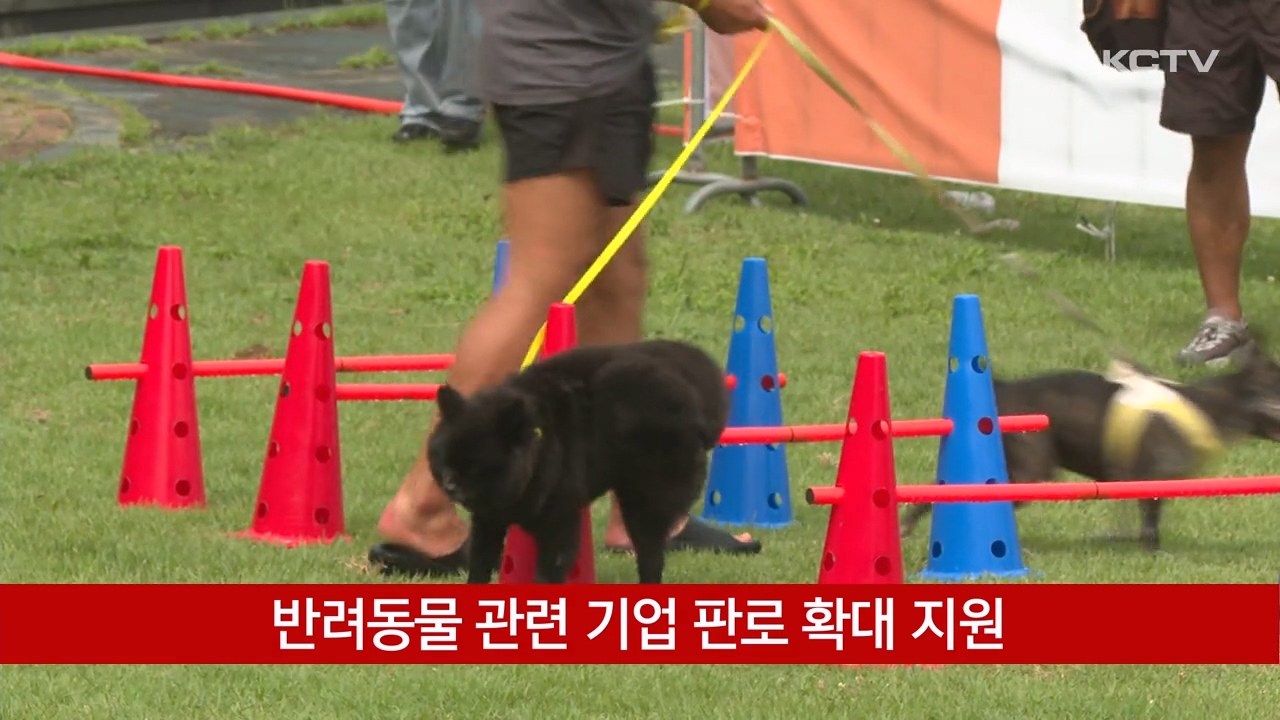 KCTV News7