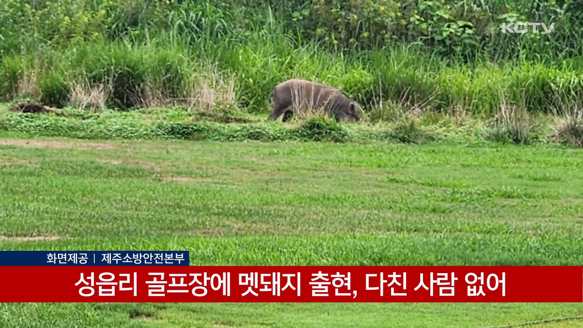 KCTV News7