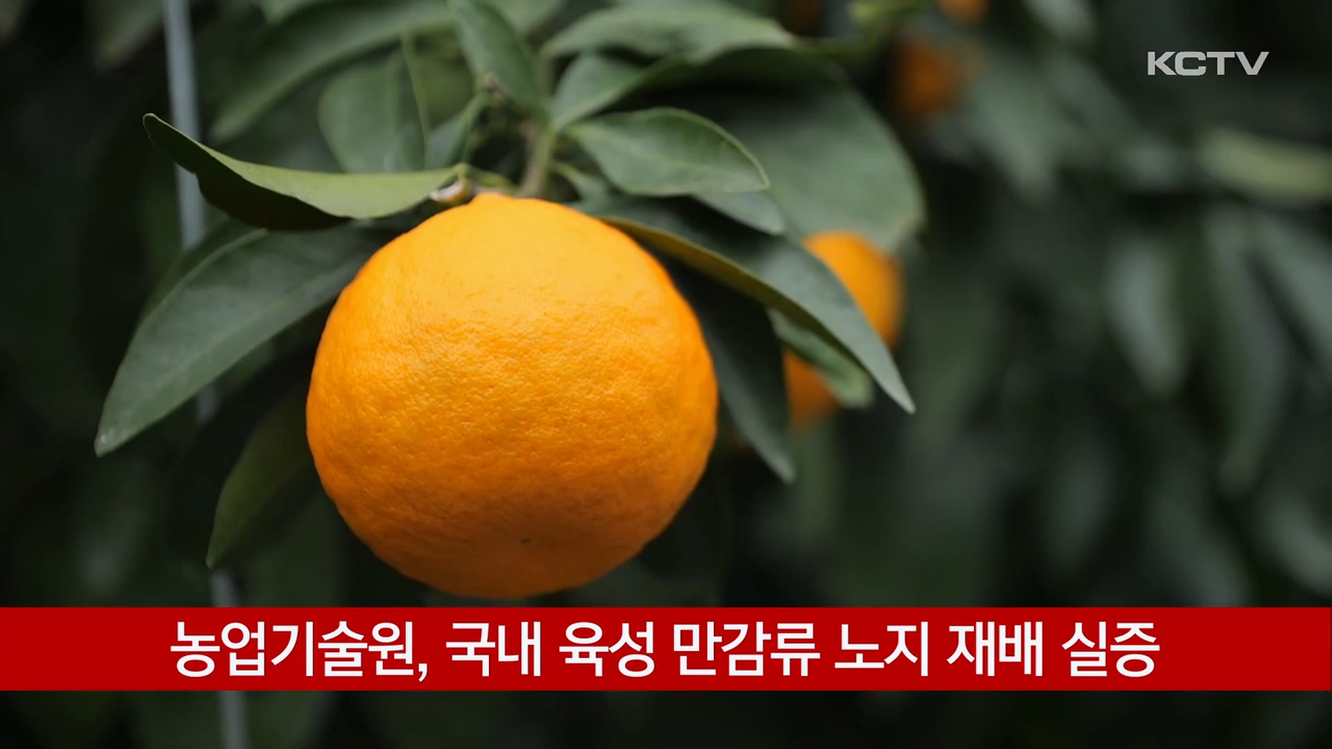 KCTV News7