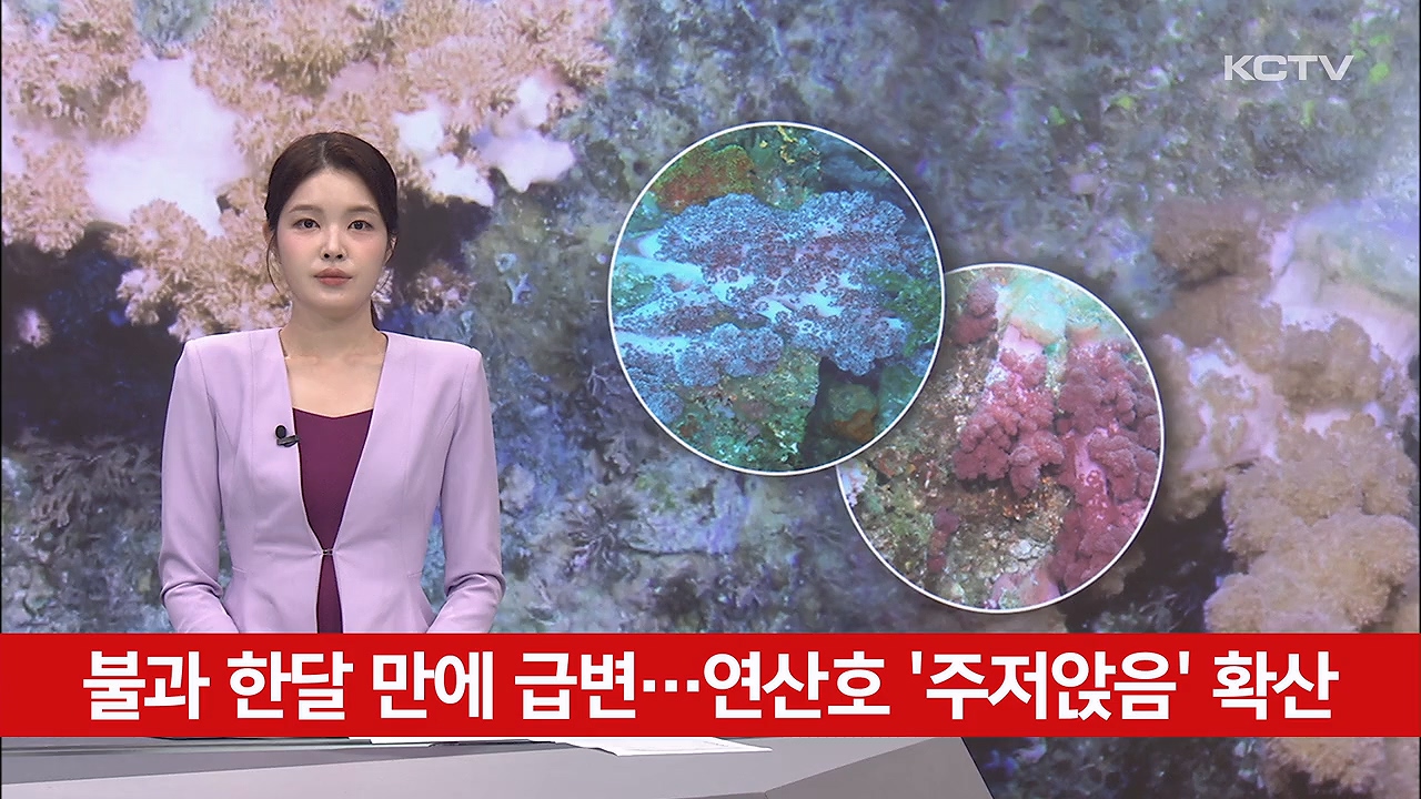 KCTV News7
