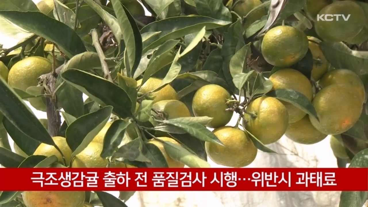 KCTV News7