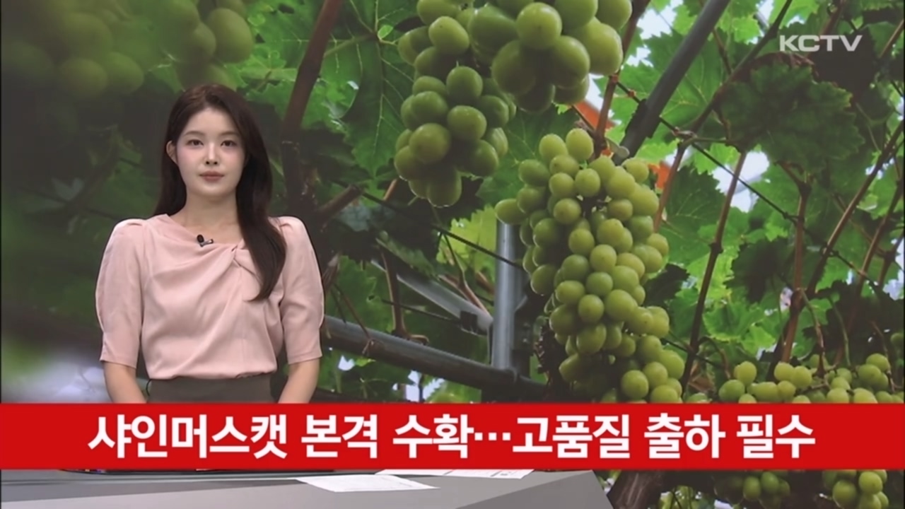 KCTV News7