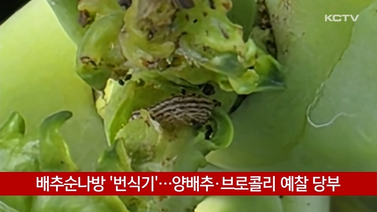 KCTV News7