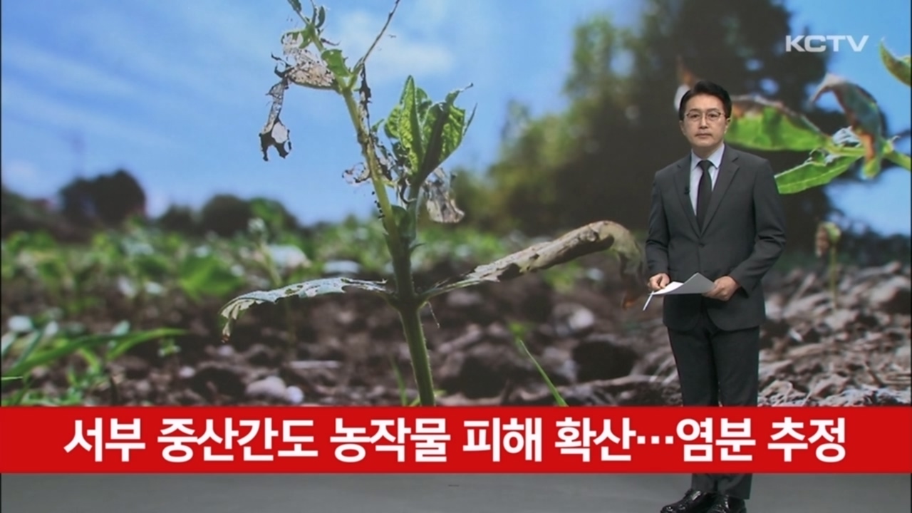 KCTV News7