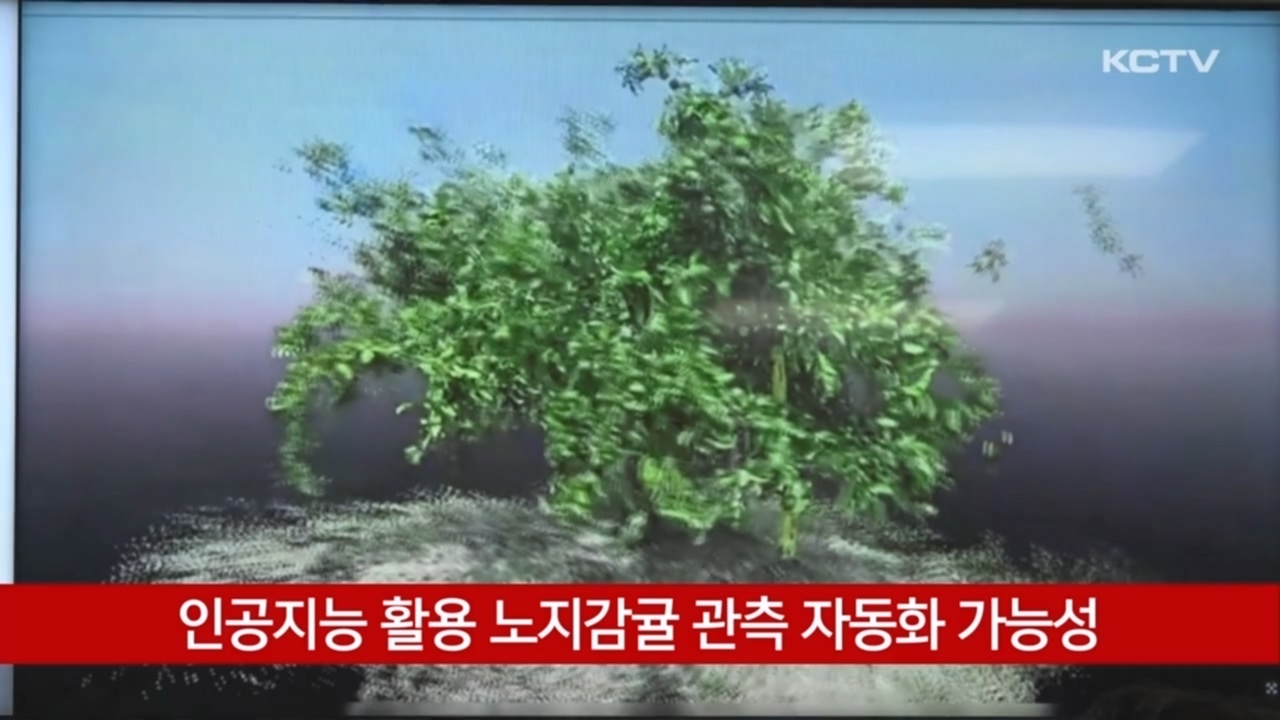 KCTV News7