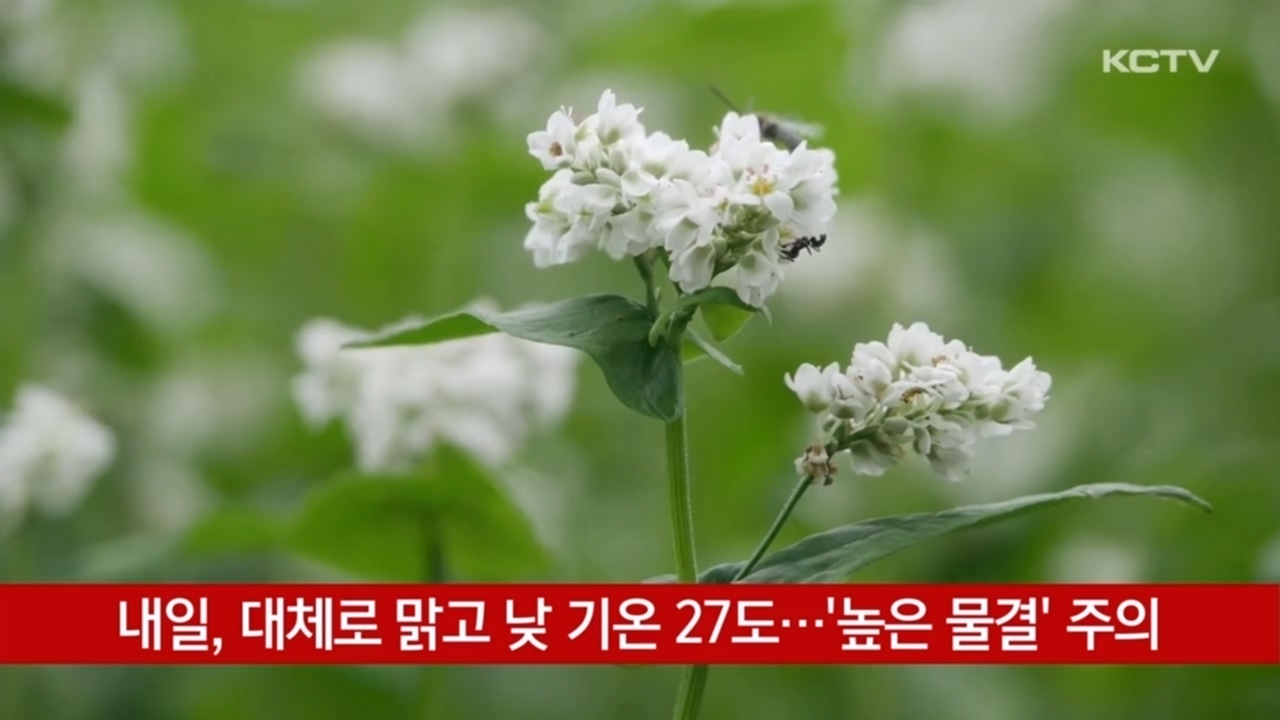 KCTV News7