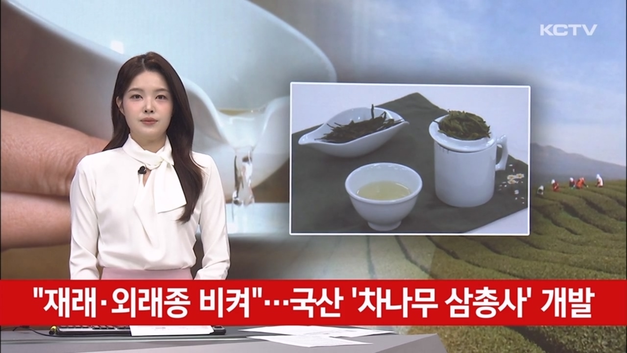 KCTV News7