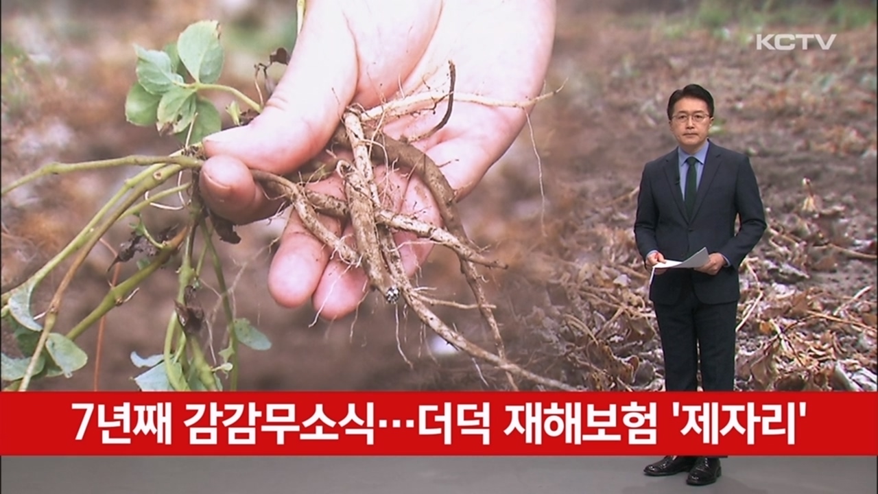 KCTV News7