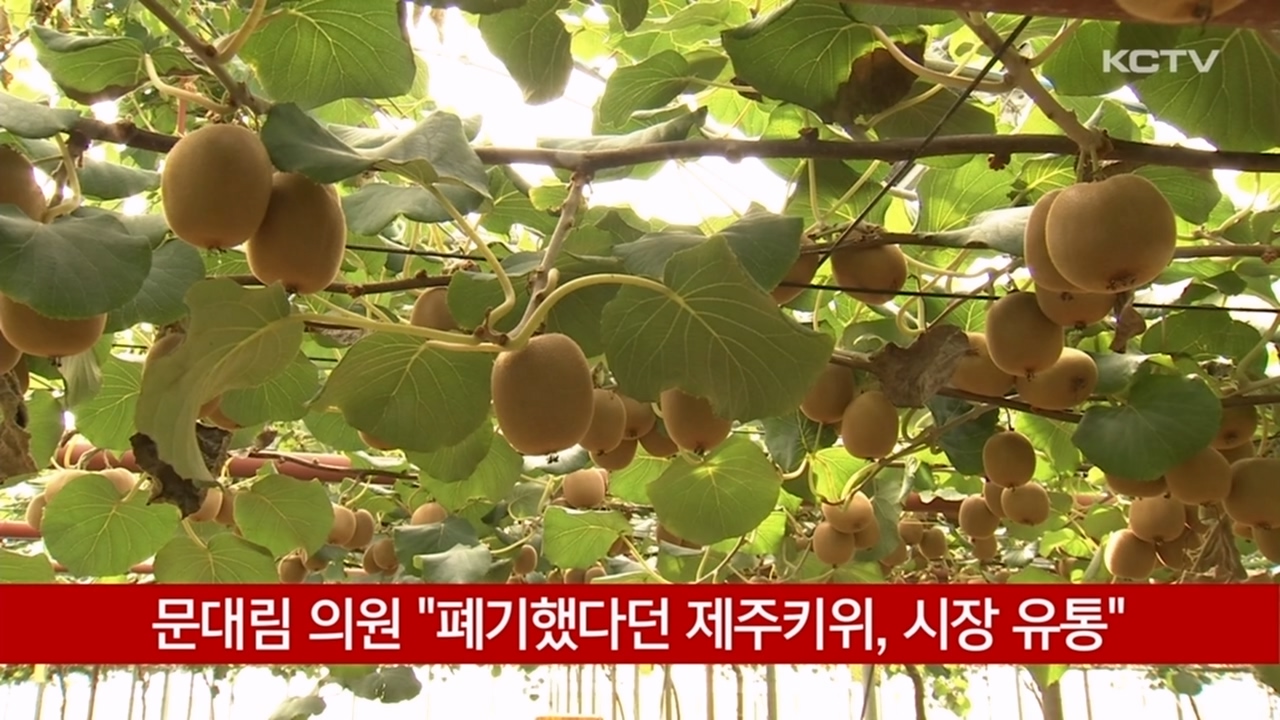 KCTV News7