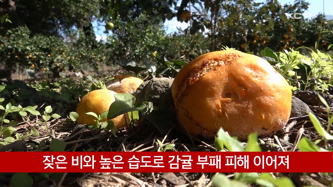 KCTV News7