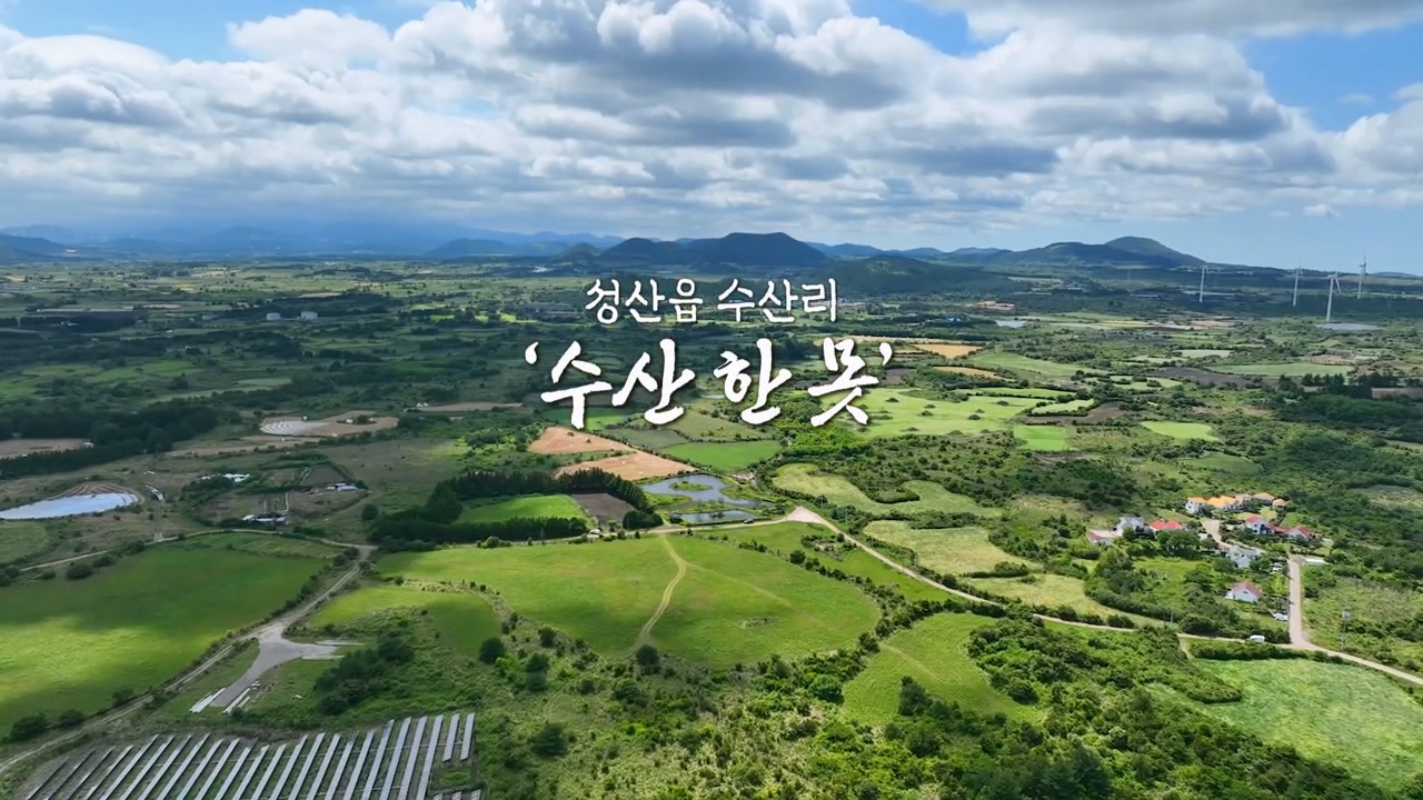 채널7 인기 프로그램