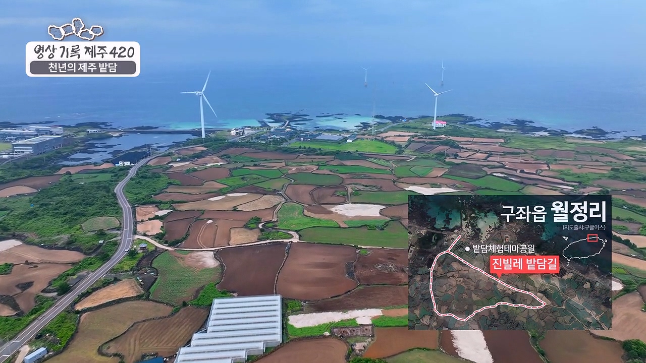 채널7 인기 프로그램