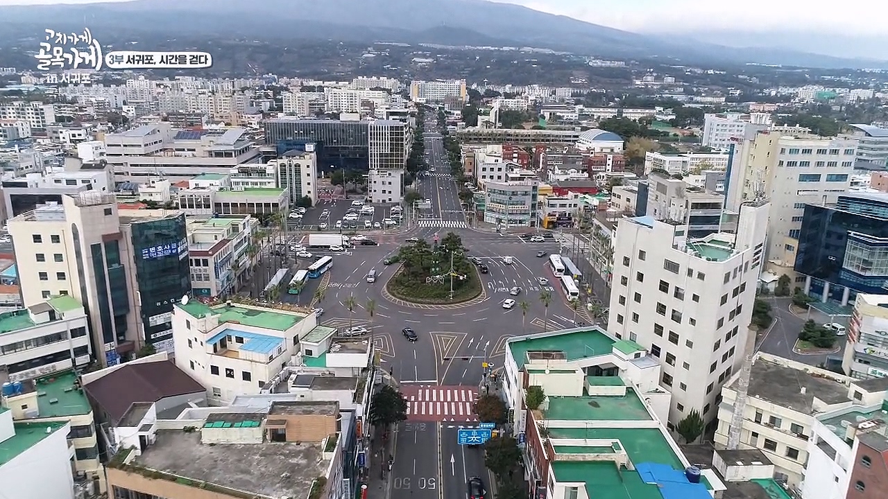 채널7 인기 프로그램